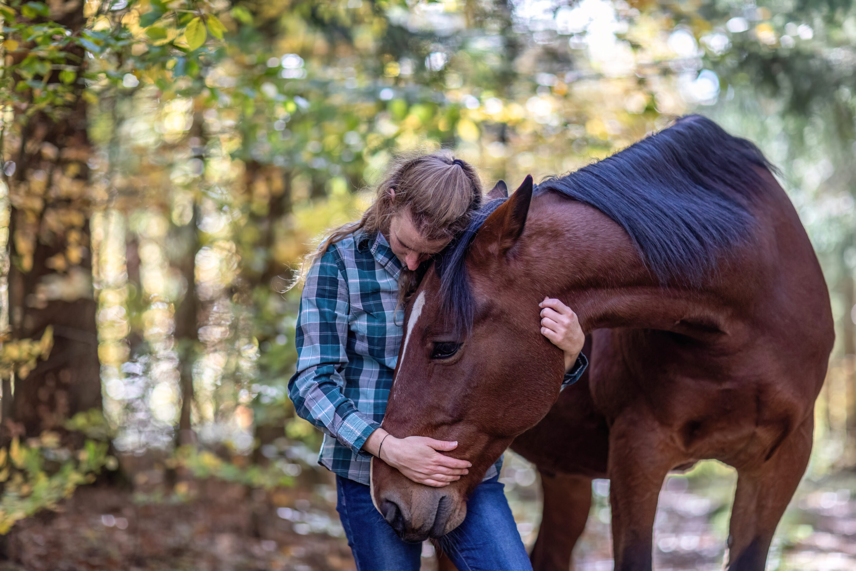 Women cuddle a horse in the forest
