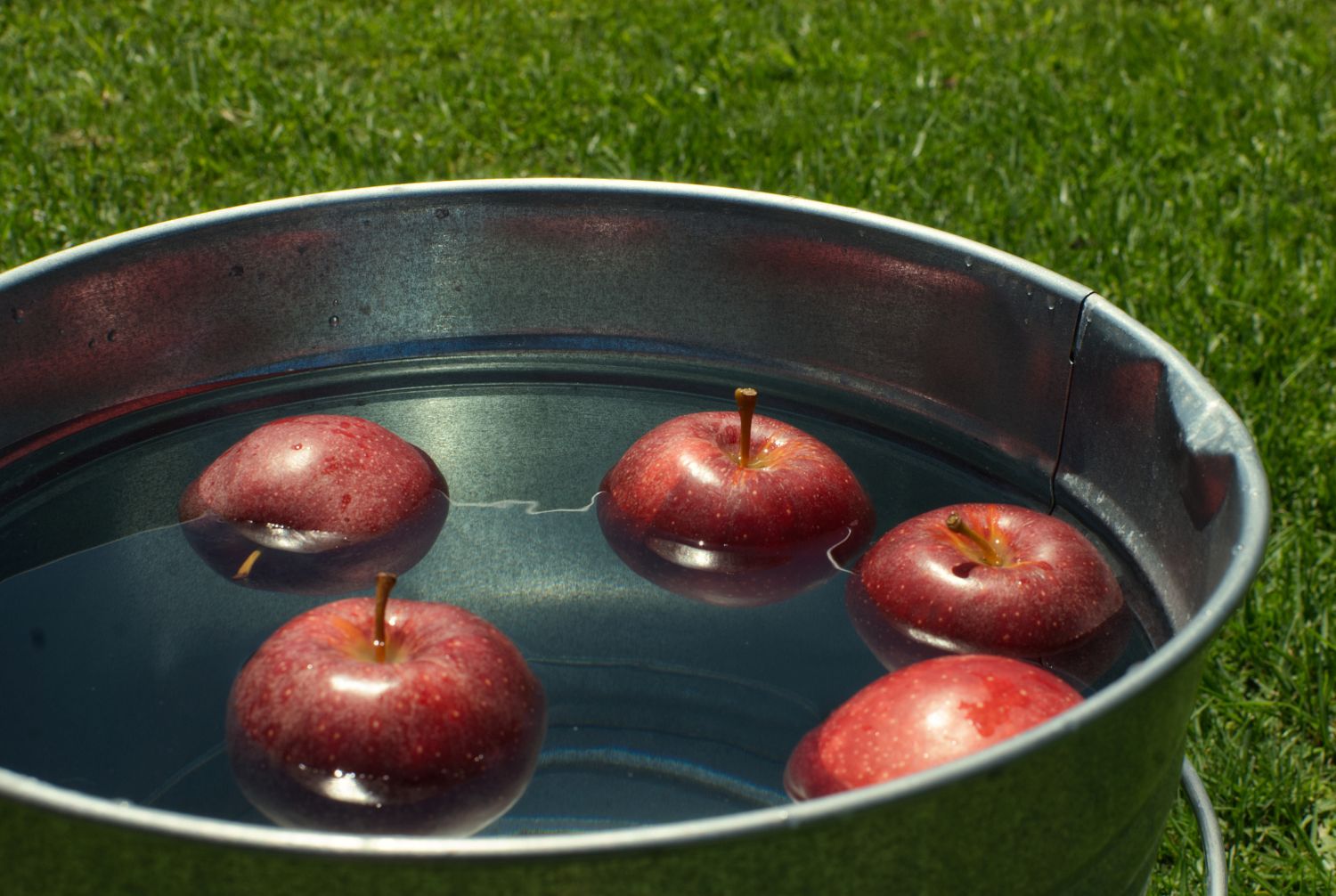 bucket of apples for apple bobbing