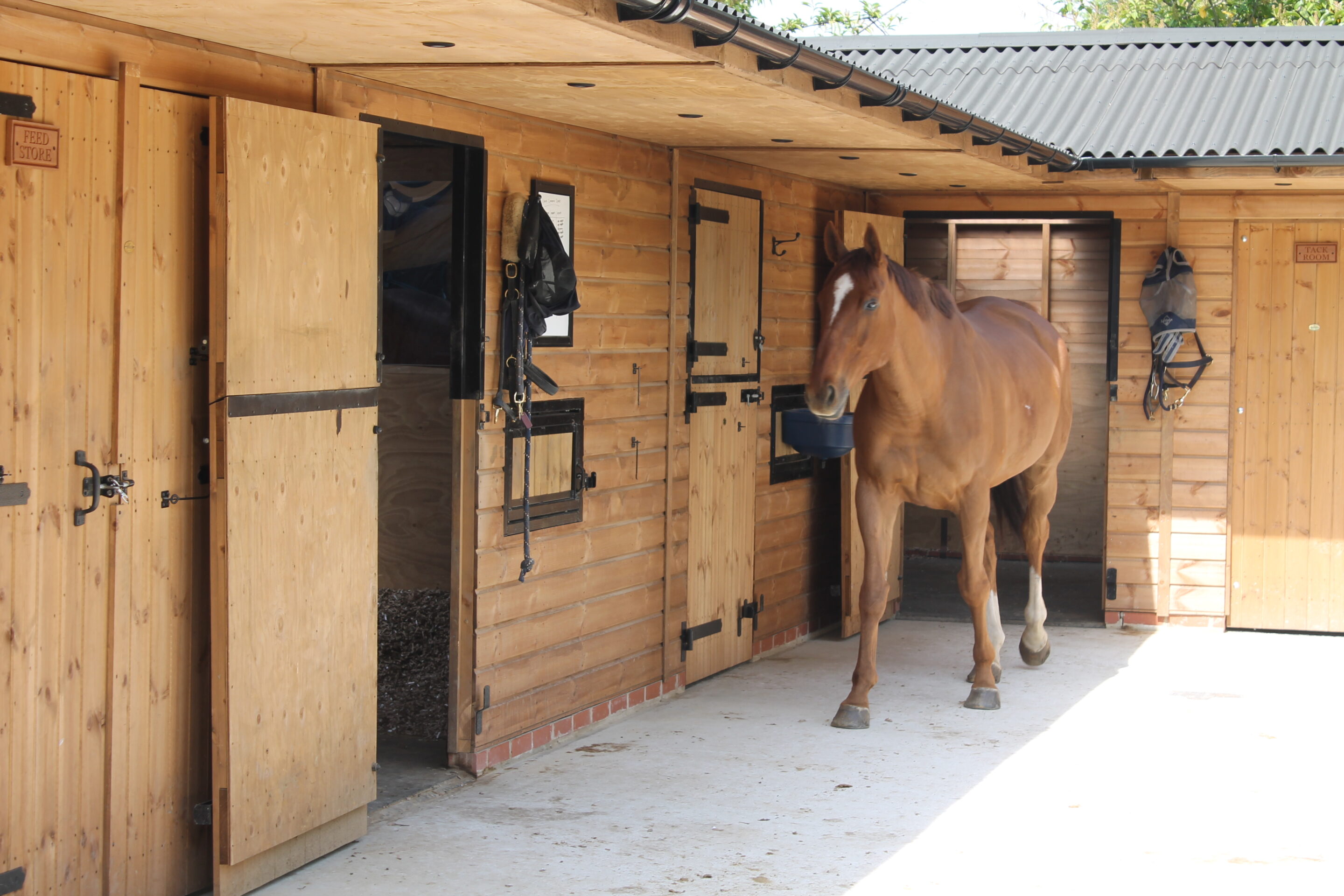 Horse infront of stable block