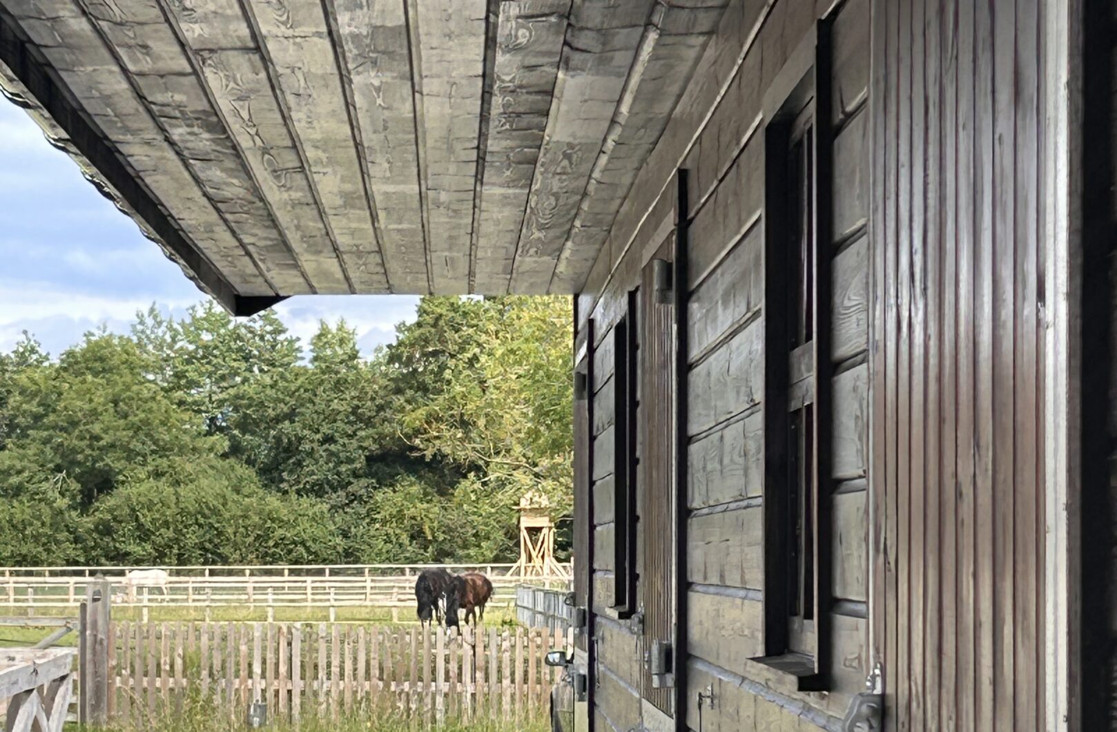 Black stable with overhang lining