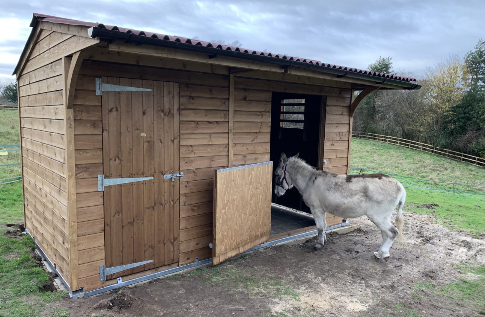 Dinkey donkey stable with donkey entering stable