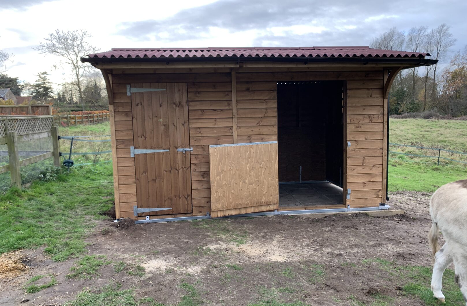Dinkey donkey stable and tack room in a paddock with open door