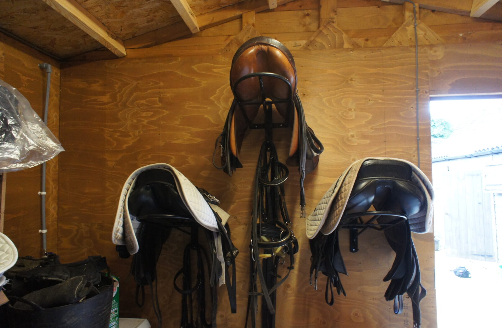 Saddles in tack room
