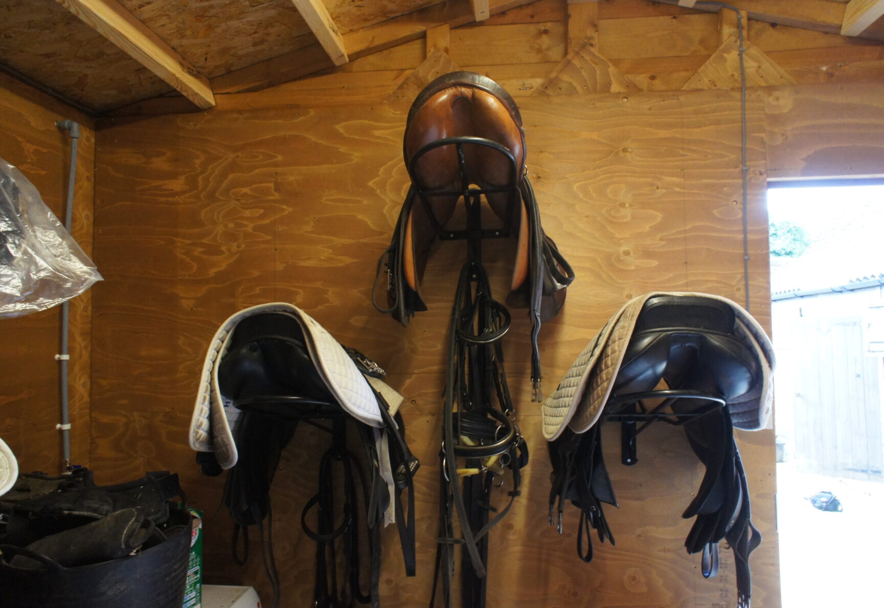 Saddles in tack room