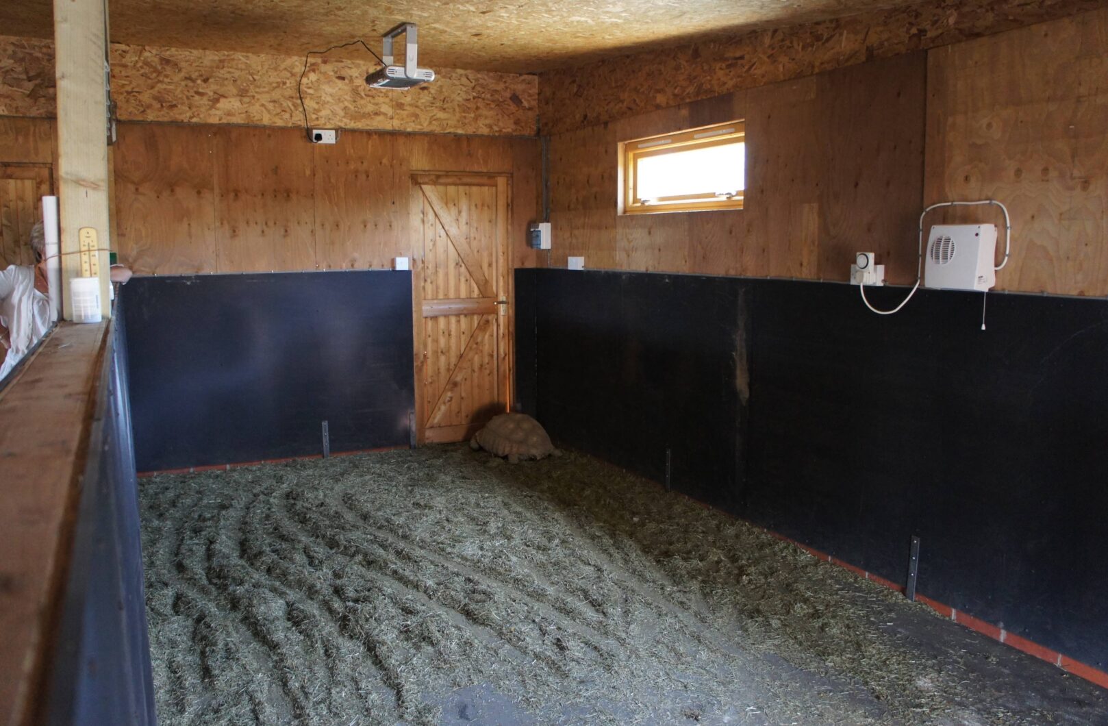 Tortoise enclosure internal