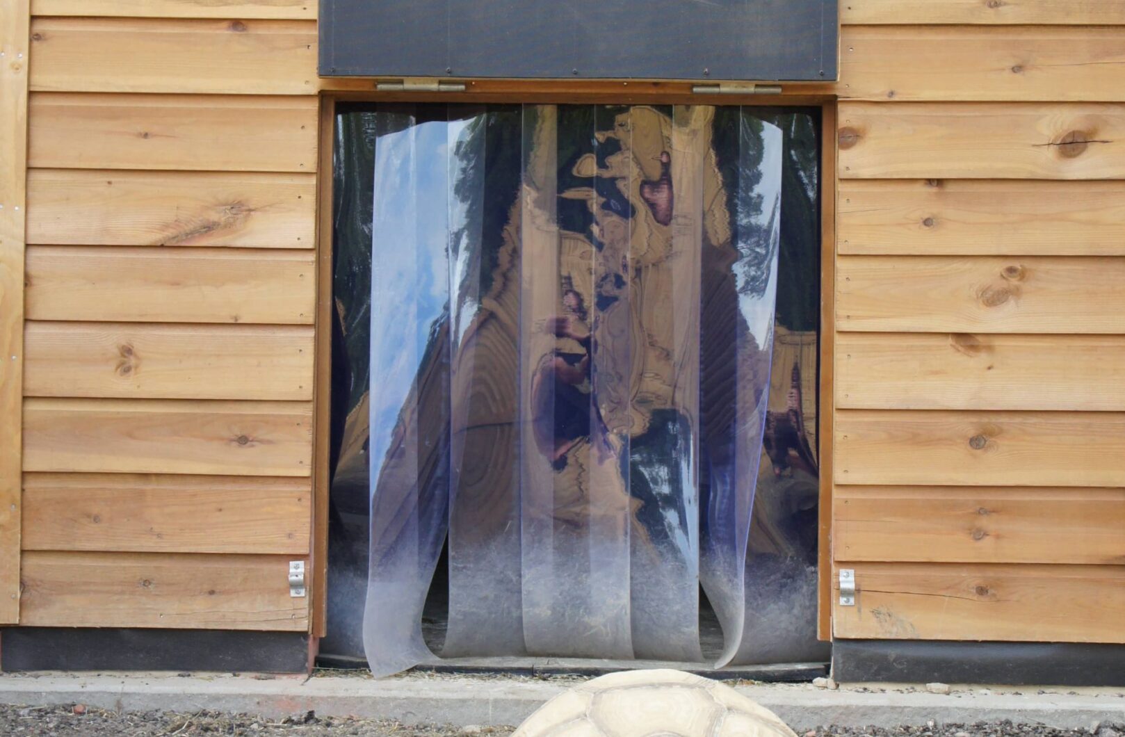 Tortoise enclosure external