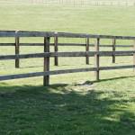 Fencing Requirements for Horses and Paddocks