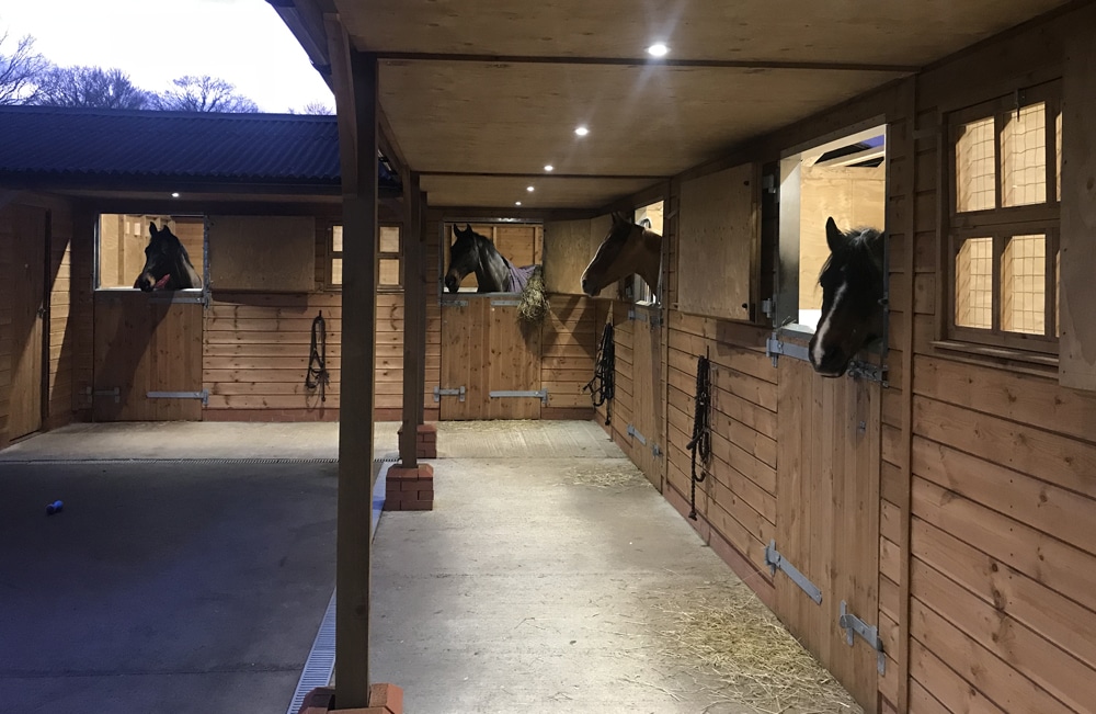 4 individual stables with horses