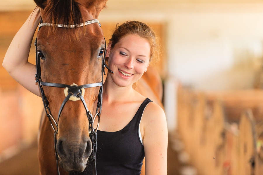 Horse Livery