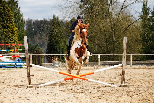 Horse Showjumping