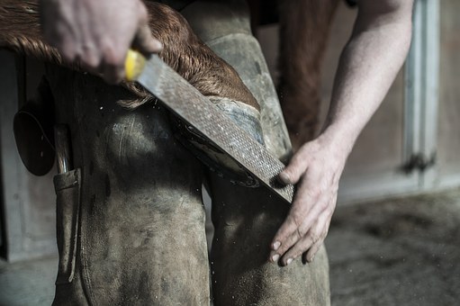 How to Protect Your Horse’s Hooves