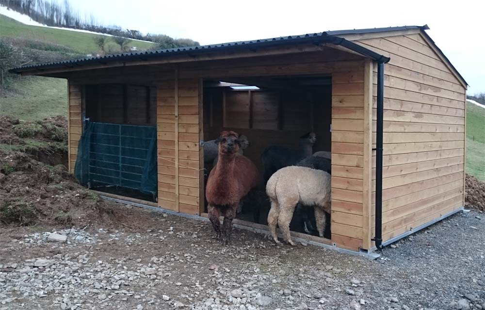 Double Mobile Alpaca Field Shelter (6m)