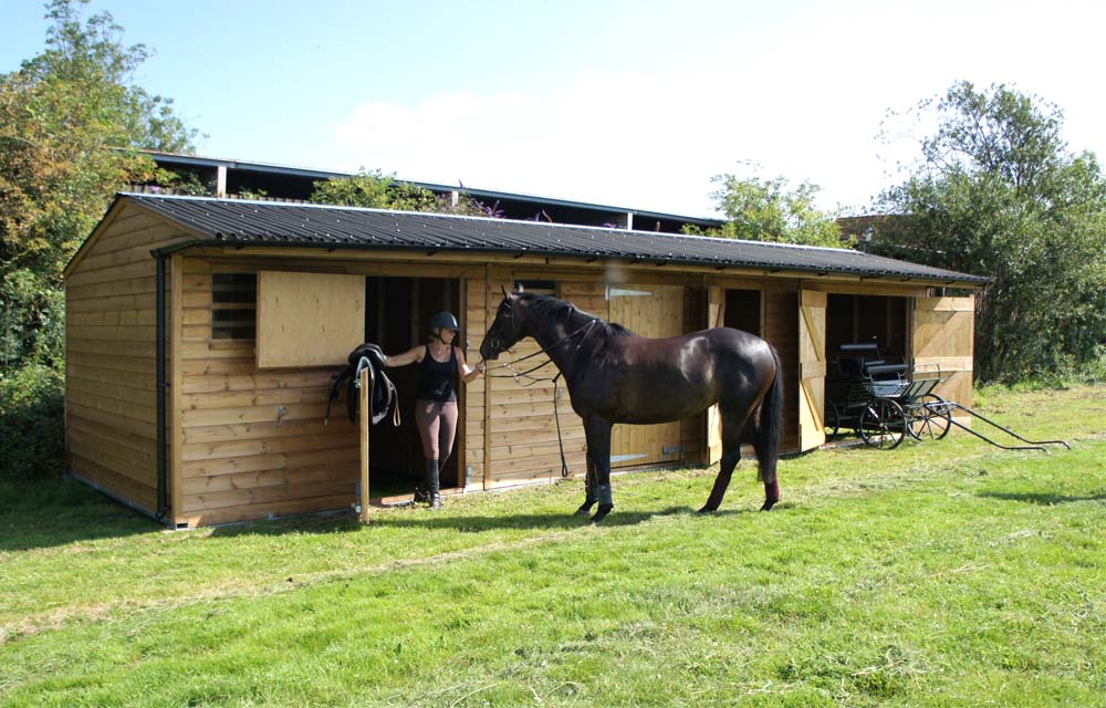 horse in mobile stable