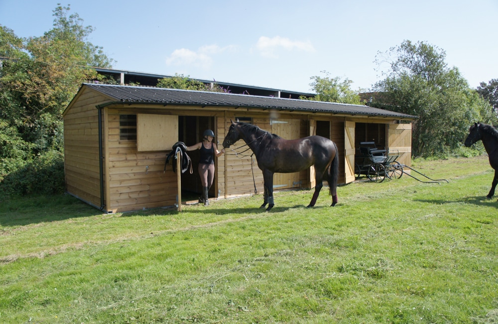 A woman bringing a horse in a stable