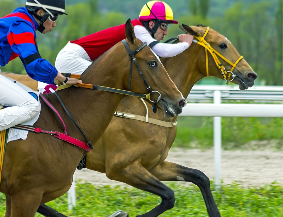 PYATIGORSK,RUSSIA - MAY 8,2022:Horse race at the Restrictive Prize.Ahead jockey Hakunov on akhal-teke stallion Sufian-Shakh.