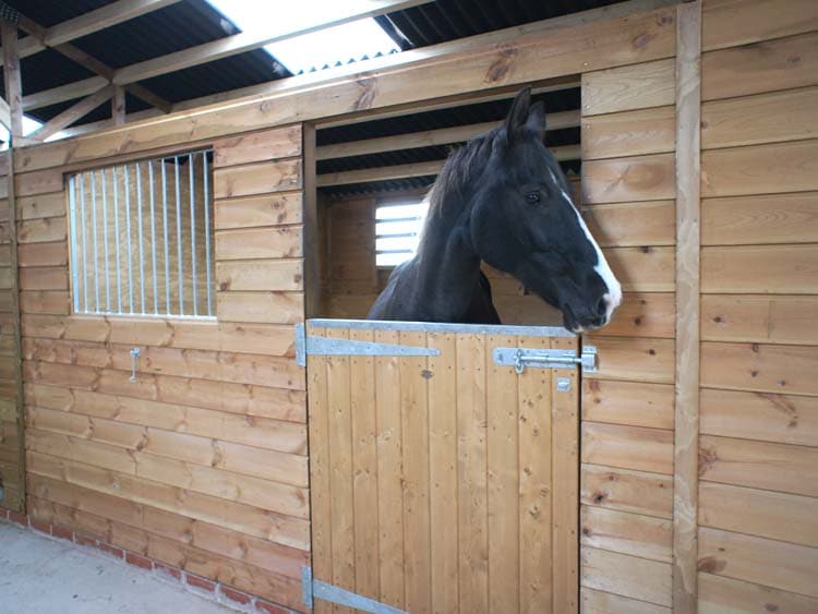 A stable with a black horse