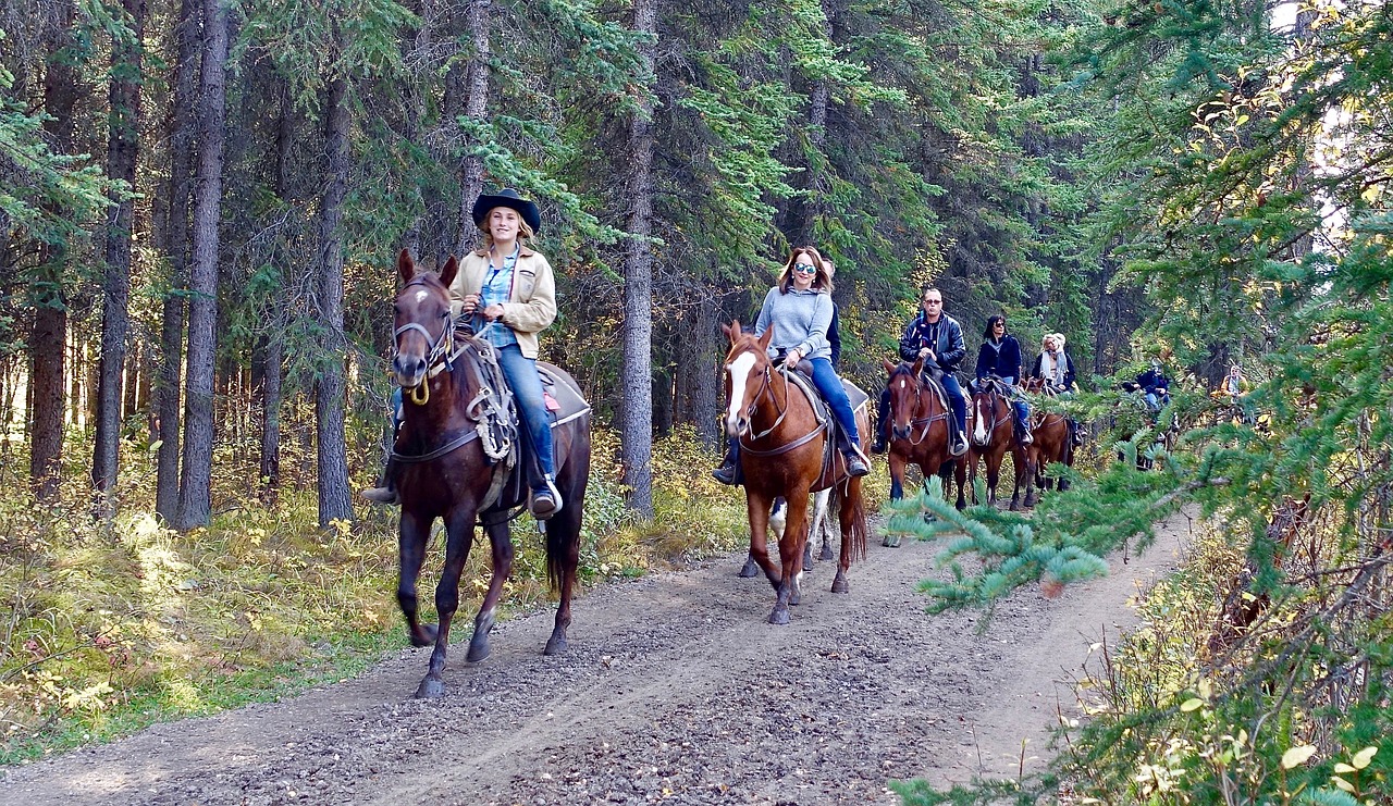 a group hacking horses along a woodland path