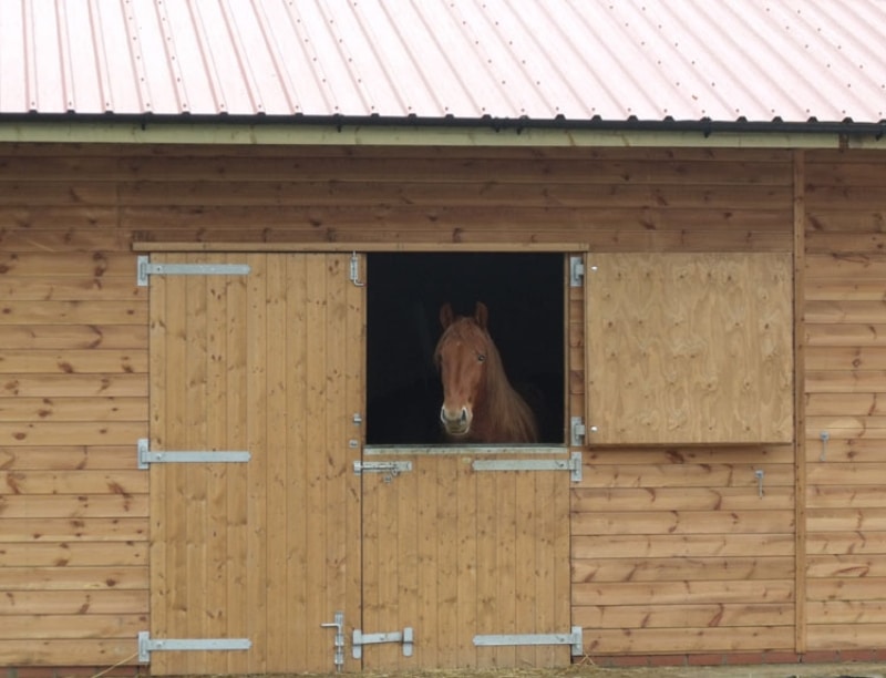 Effective stable ventilation and stable design