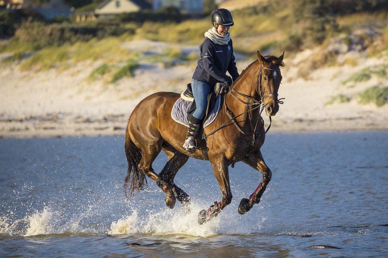 a brown horse with rider on a beach