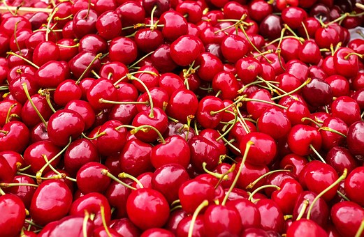 Can horses eat cherries?