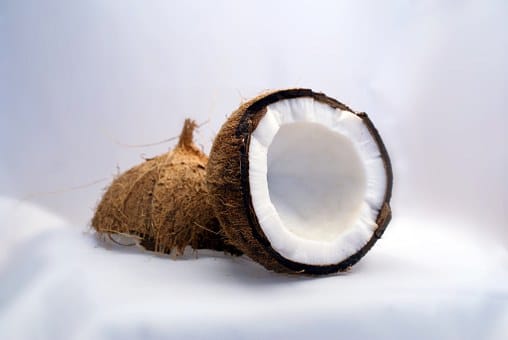 Can horses eat coconuts?