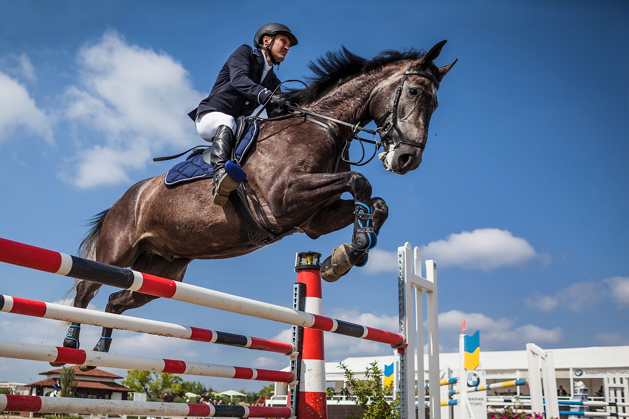 Horse Event With Showjumping 