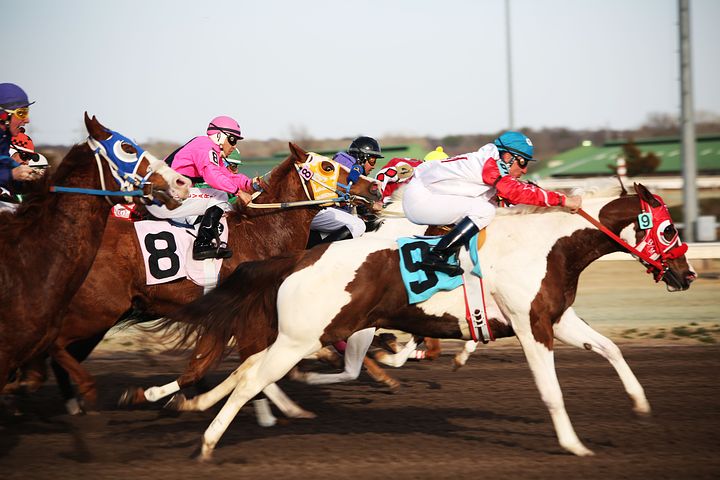 Horse Racing