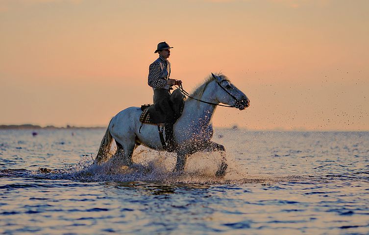 Horse Riding