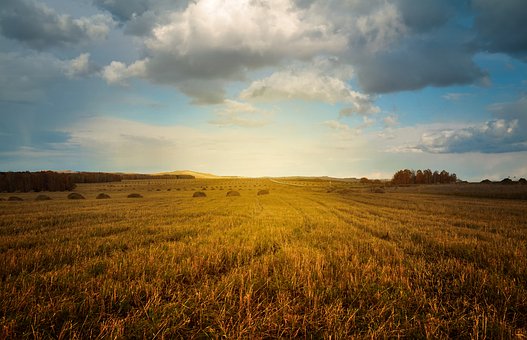 How to Avoid Farmer’s Lung