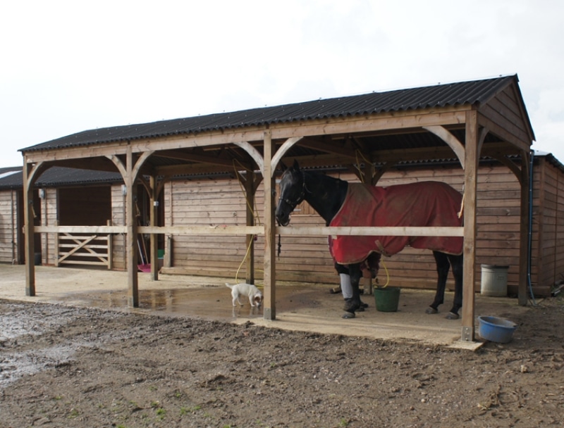 Open Wash Down Shelter