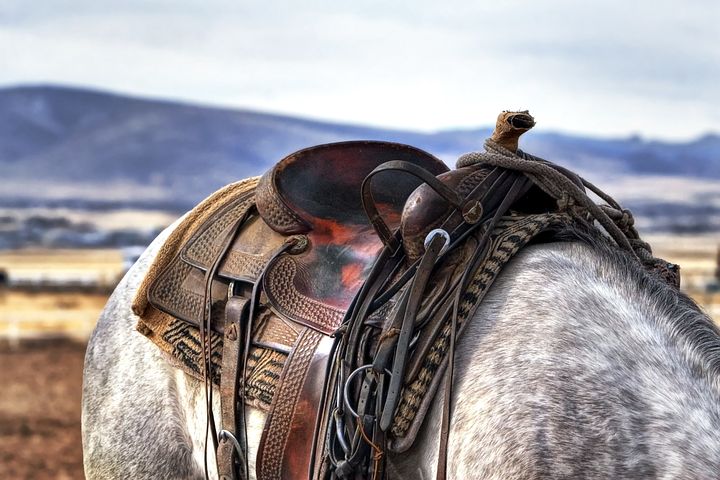 The Top 8 Varieties of Horse Saddles