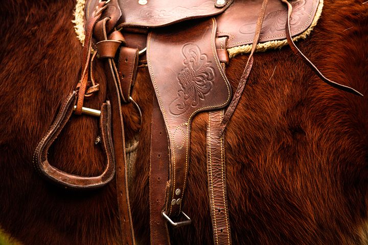 How to Care for Your Horse’s Saddle