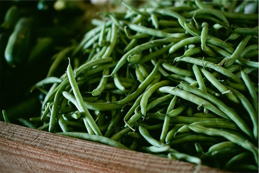 Les chevaux peuvent-ils manger des haricots verts ?