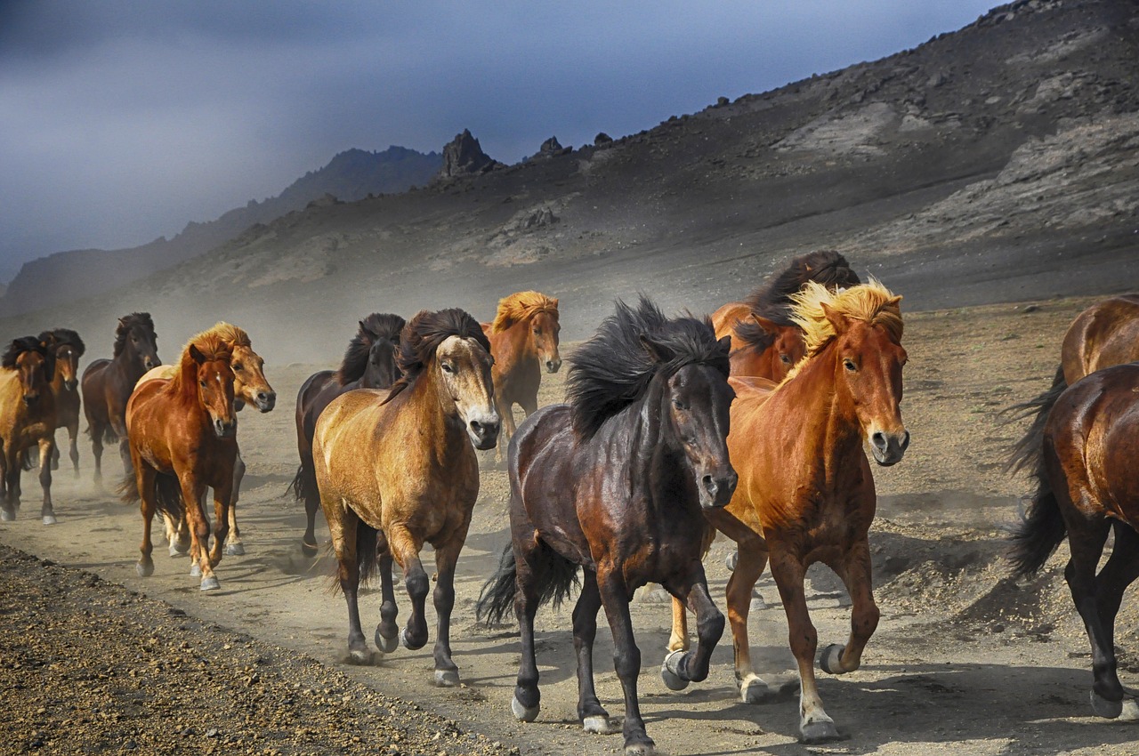 wild horses stampeding against a mountain backdrop