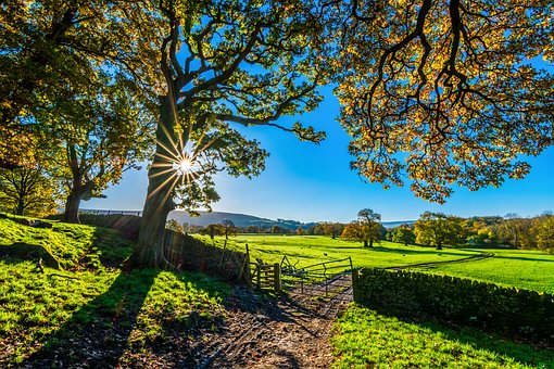 Sunny Countryside